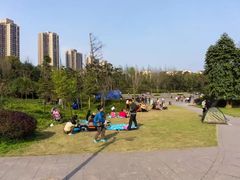 -重庆彩云湖湿地公园