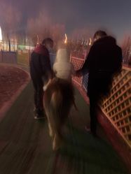 -萌宠亲子动物乐园(槐房万达店)