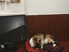 -洪齐林老镇