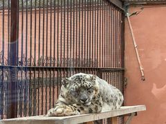 -青藏高原野生动物园