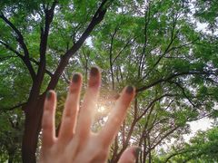 -独音唱片 Indie Music