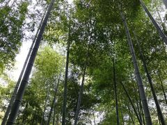 -山沟沟景区