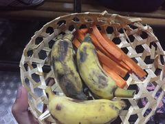 -清迈夜间动物园