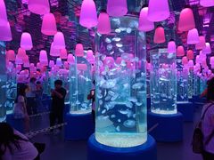-欢乐海岸海洋奇梦馆
