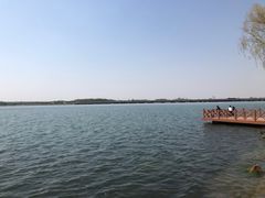 -丁香湖公园