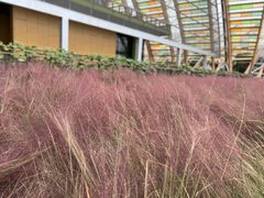 -中国天府农业博览园