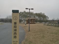 -西安浐灞国家湿地公园