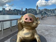 -星光大道