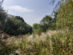 -梁鸿国家湿地公园