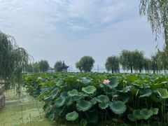 -石湖景区