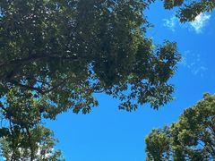 -东钱湖旅游度假区