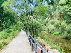 -百里山水画廊