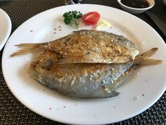 -伯豪瑞廷酒店-天伦阁西餐厅