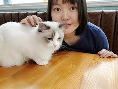 -猫小院猫主题餐厅(三里屯店)