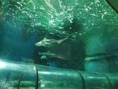 -福州罗源湾海洋世界旅游区