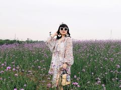 -大塘金香草谷