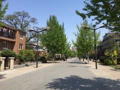 -天正河鲀·河豚亭(大连店)