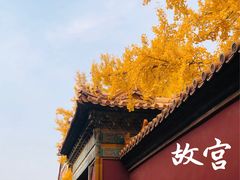-故宫博物院(故宫)