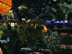 -绿茶餐厅(财富购物中心店)