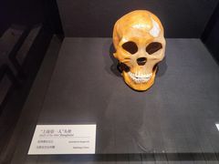 -上海崧泽遗址博物馆