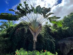 -三亚南山文化旅游区