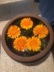 -琦品高端美容SPA私佳美场