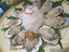 -中苑海韵