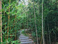 -唐城墙遗址公园