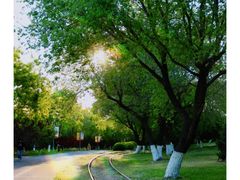 -永定河休闲森林公园