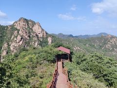 -大岭沟猕猴桃谷风景区