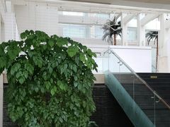 -泰安东尊华美达广场酒店(泰山景区店)
