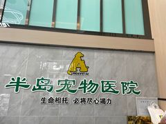 -半岛宠物医院24小时(科华中路店)