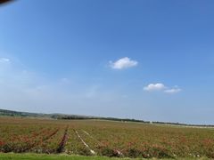 -南京枫彩漫城