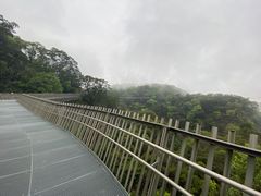 -福道