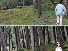 -硗碛藏寨·神木垒景区