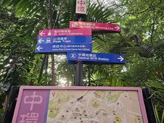 -太平山顶