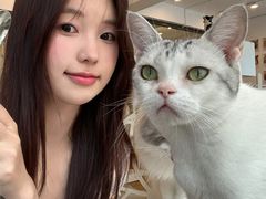 -有喵·猫咖·狗咖·30几只猫10只小狗(岗厦店)