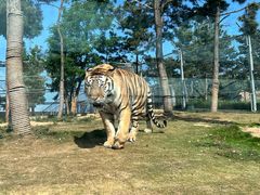 -西霞口神雕山野生动物世界