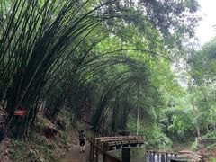 -凤栖山