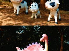 -三门江国家森林公园