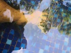 -三亚珠江南田温泉度假区