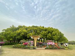 -上海滨江森林公园