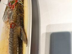 -一品江南韵·淮扬菜