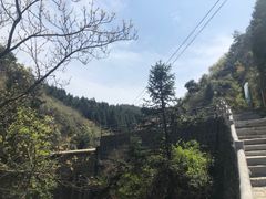 -四明山国家森林公园