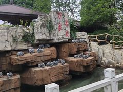 -万象温泉景区
