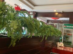 大堂-金叶酒家(新华路店)