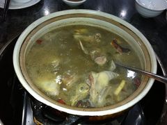 药鸽-鸽鸟轩(石岐店)