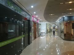 -油梨树 AVOCADO TREE(亮马桥店)