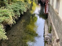 -趵突泉景区
