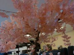 -汤里来温泉